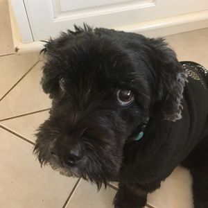 Meet your Posher, Kerry